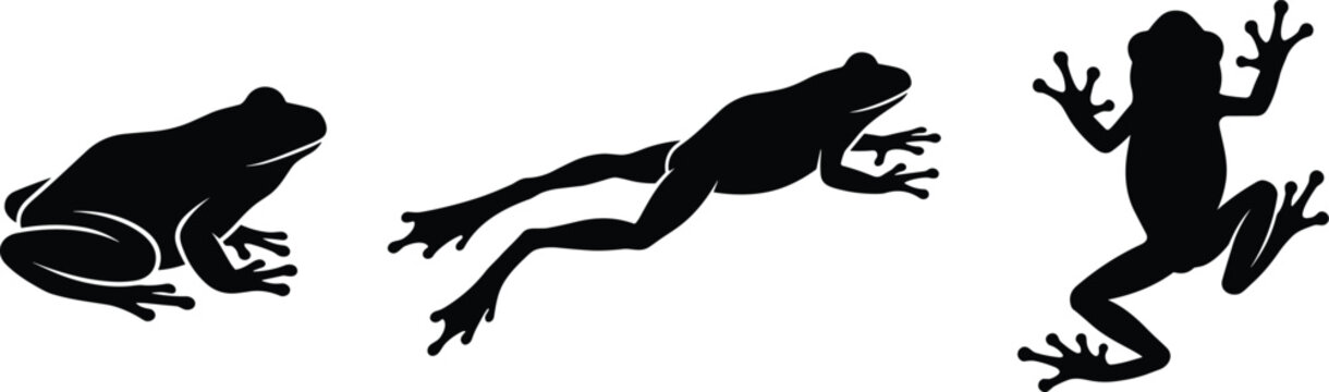 Black silhouette illustrations of frogs in sitting, leaping, and climbing positions, symbolizing agility, wildlife, amphibian diversity, and natural design