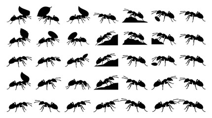 Fototapeta premium Ant Silhouette Collection Featuring Worker Ants Leaf Carriers and Natural Insect Poses