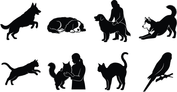 Pet care and veterinary services silhouette icon set featuring dogs cats parrot and veterinarians examining domestic animals for wellness concepts