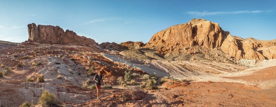 Young man hiking, red rock formations, sandstone, Valley of Fire, Mojave Desert, Nevada, USA