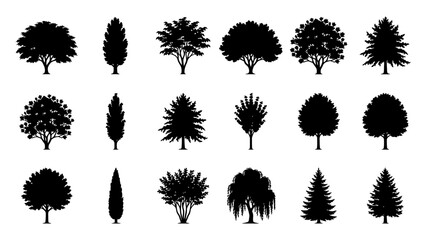Tree silhouettes vector set with various deciduous and coniferous forest trees for landscape design and graphic projects © Artastic