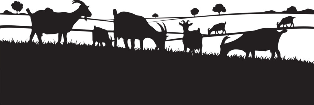 Black silhouette goats on grassy hill with fence and trees