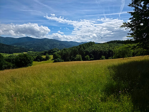 germany, expansive green grasslands and forested hills revealing timeless elztal summer panorama and tranquility