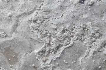Fototapeta premium texture of salt background in natural salt flats