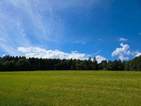 germany, vibrant green pasture foreground meeting forest edge beneath crystal clear summer blue sky