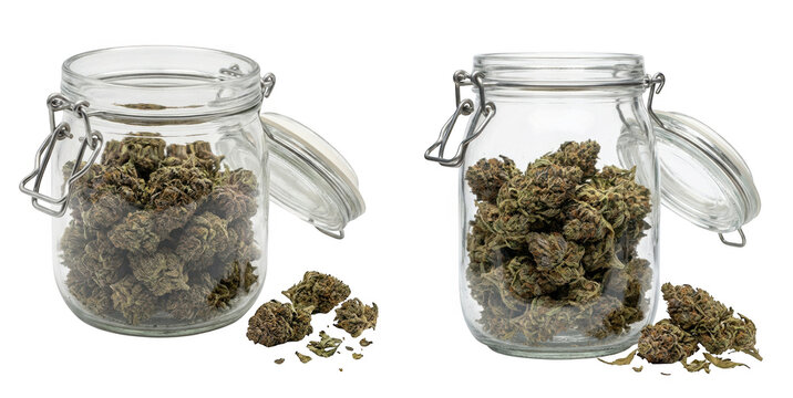 Two glass jars filled with dried cannabis buds isolated on transparent background