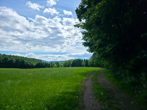 germany, inviting straight hiking path following forest edge through serene summer countryside and greenery