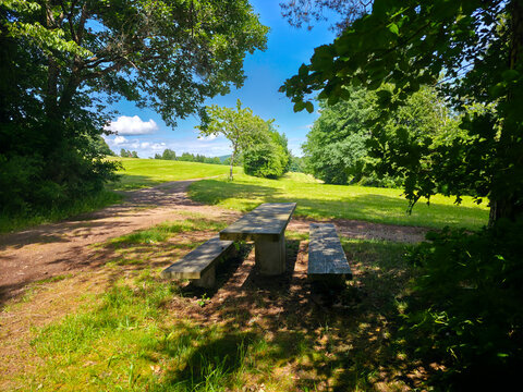 germany, rustic wooden table and benches beneath tree shade at scenic hiking crossroads