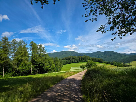 germany, straight hiking path beside forest edge with forested hills enhancing the distant horizon