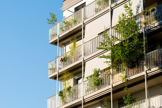 Trees grow from apartment balconies under clear sky, giving sustainable architecture an urban residential facade with planted exterior depth
