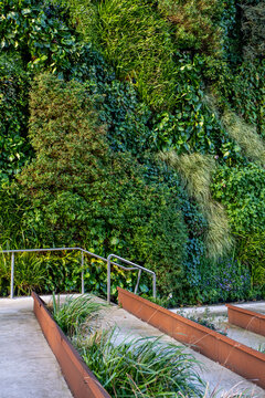 A green wall of planting follows steps and railings through a garden walkway, where sustainable architecture shapes an urban landscape edge