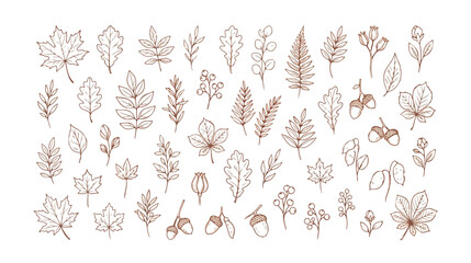 Hand drawn autumn leaves and botanical elements, brown line art foliage collection, minimalist fall forest icons vector set for seasonal branding © I'm_coming