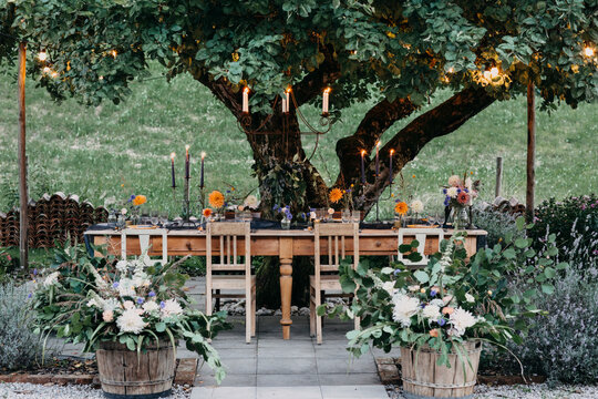 Festive laid table with candles under a tree