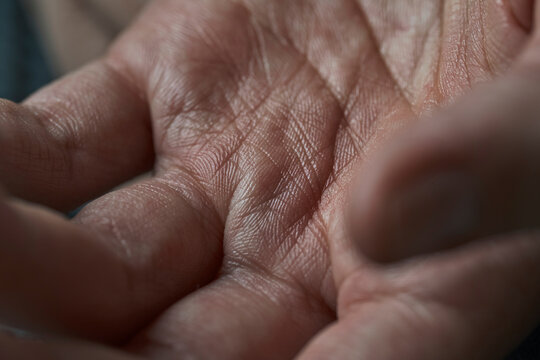 Macro closeup of human palm showing skin texture and wrinkles