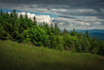 Natura, krajobraz, las, zachód słońca, leśny potok, słońce, woda, światło, długa ekspozycja © Adrian Jaśpiński