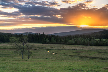 Natura, krajobraz, las, zachód słońca, leśny potok, słońce, woda, światło, długa ekspozycja © Adrian Jaśpiński
