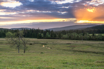Natura, krajobraz, las, zachód słońca, leśny potok, słońce, woda, światło, długa ekspozycja © Adrian Jaśpiński
