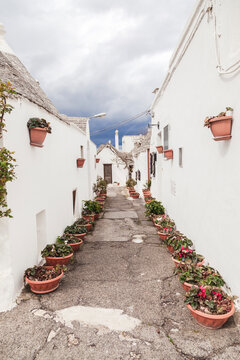 Italy, Apulia, Alberobello, view to alley with rows of flowerpots
