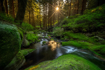 Natura, krajobraz, las, zachód słońca, leśny potok, słońce, woda, światło, długa ekspozycja © Adrian Jaśpiński