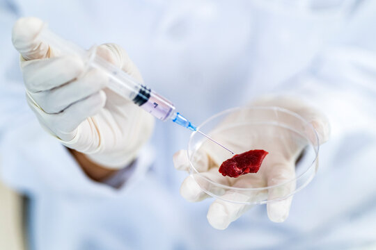 Researcher injecting meat in petri dish while doing experiment at laboratory