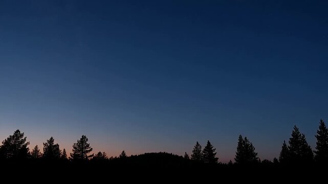 Serene forest silhouette against a gradient sunset sky