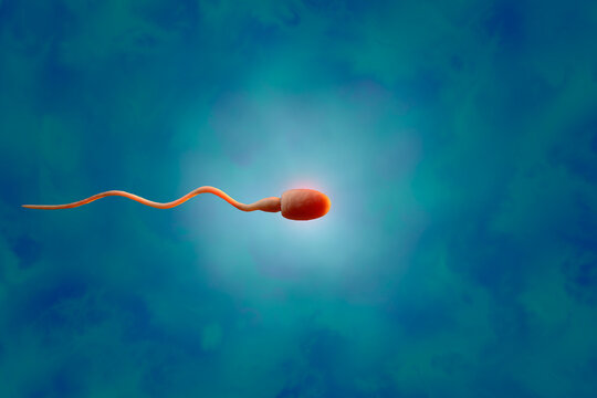 Sperm, 3D Rendering