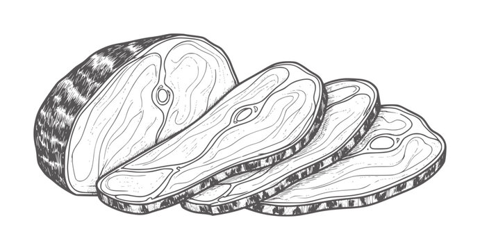 Hand drawn of sliced fish steaks with visible bones food