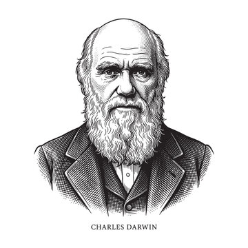 Charles Darwin Portrait Illustration, Vintage Detailed British Naturalist Engraving