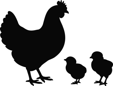 Silhouette of a mother hen and her two chicks standing together on white background