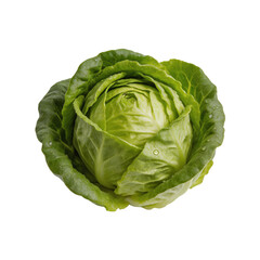 Obraz premium Vibrant and Fresh Green Cabbage Head with Dewy Leaves, Ideal for Healthy Cooking and Culinary Creations, Showcasing a Dreamlike Appearance on a White Background