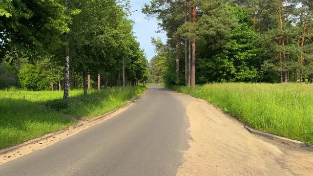 A picturesque paved road through lush green forest, a quiet summer route in nature with pine trees and sun-drenched grass