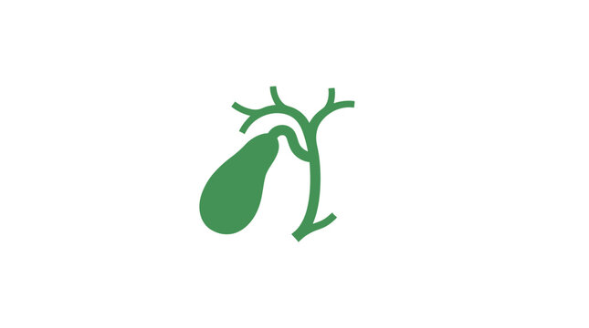 Green illustration of a human gallbladder with bile ducts on a white background