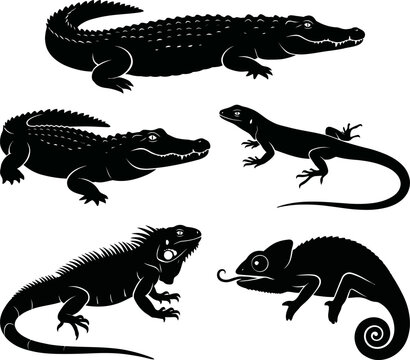 Reptile icons, lizard silhouettes, crocodile vector set, chameleon graphics