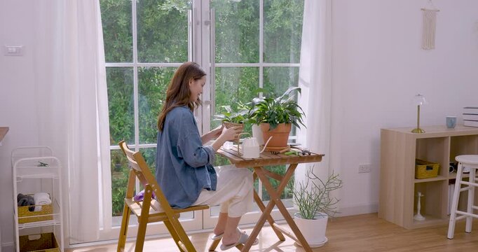 Young Asian woman walks to wooden table near large window, waters potted plant with white can, checks leaf health, enjoying calm indoor gardening hobby in bright minimalist apartment corner daily
