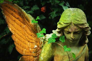 Obraz premium Weathered angel statue surrounded by ivy in a quiet cemetery.