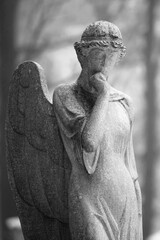 Obraz premium Black and white portrait of a mourning angel statue.