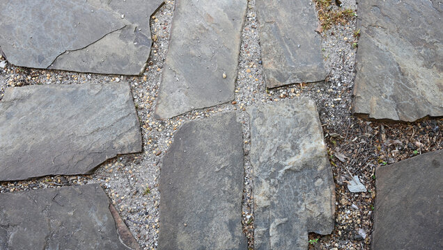 Flat slate stepping stone walk in a gravel and dirt bed with irregular gray stones and visible grass patches