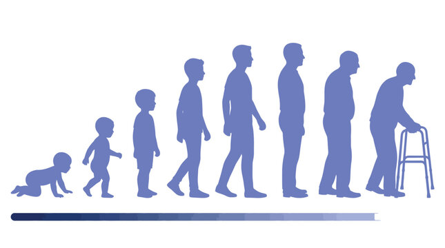Blue vector illustration showing the human life cycle progression from infancy to old age stages