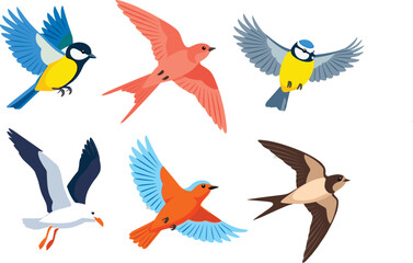 Collection of colorful flying birds flat illustrations set including blue tit cardinal seagull swallow isolated on light background © Hanifer
