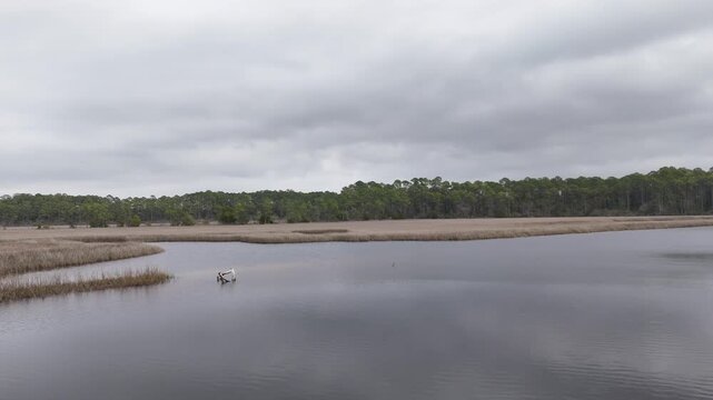 Low-altitude drone fly over peaceful lagoon lakeside area between coastal trees overlooking calm reflective water landscape, Panama City Beach, Florida, US