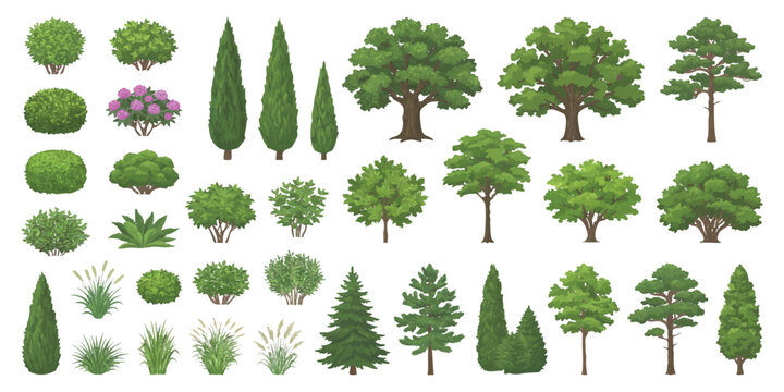 Set of various green trees and small bushes for garden landscape design and park nature environment elements