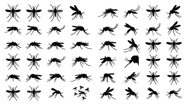Mosquito silhouette icon set featuring flying insect pests malaria warning signs dengue control black vector graphic illustration bundle