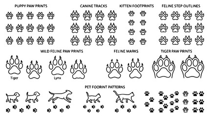 Animal paw prints and pet footprint patterns vector collection featuring canine tracks feline steps and wild tiger marks © MdSabbir