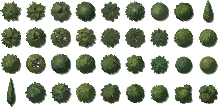 Top view tree icons set, 38 green forest plants for landscape architecture, aerial garden map symbols vector kit