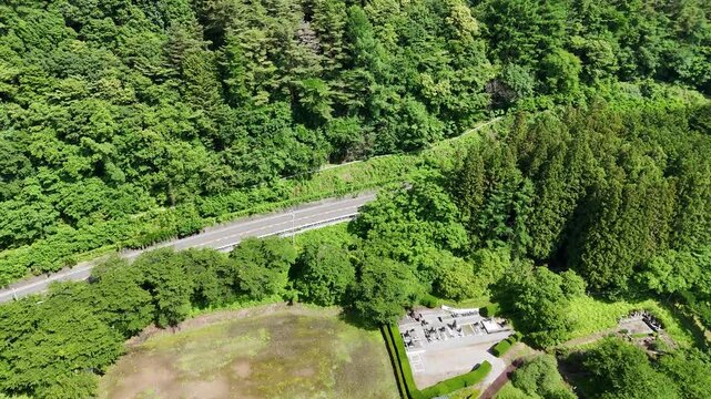 Lush green forest surrounds winding road and train tracks. Small clearing holds a quiet shelter and scattered benches. Birds flutter above as sunlight filters through the canopy