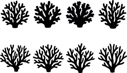 Coral Reef Silhouettes © Ruhane