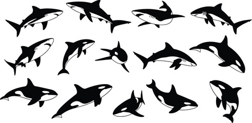 Shark and Orca Killer Whale Silhouettes Vector Illustration Set © Nurjahan