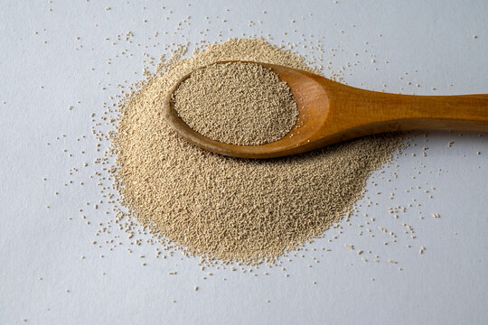 Dry Baker Yeast In Spoon