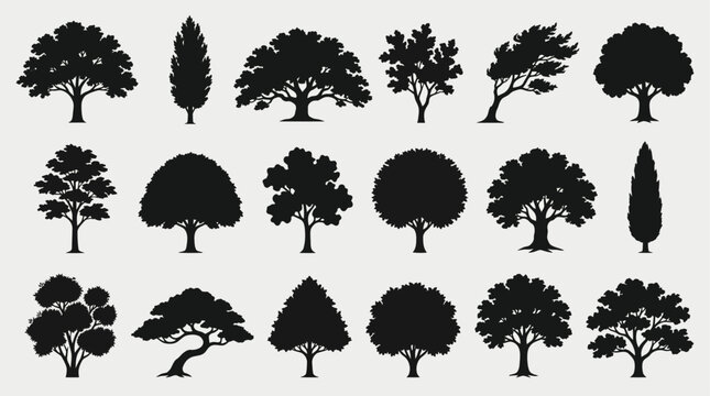 various deciduous trees silhouettes on the white background