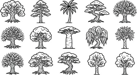 Black and white of various types of trees and plants foliage leaves trunk © Graphic Shops